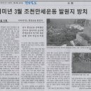 조천리금대 이미지