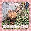 서초대로25길 10-5 | 서초구 나무벌목 가지치기 전지작업 업체