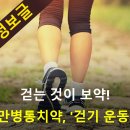 걷는것이 보약! 만병통치약 걷기운동 이미지