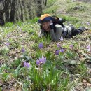 숲 걷기 명상 이미지