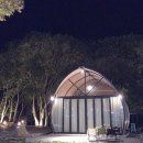 별빛농원 | 완도글램핌핑 이든관광농원글램핑 후기, 완도 숲속에서 만난 자연 그대로의 힐링 :)