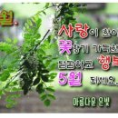까페마음 이미지