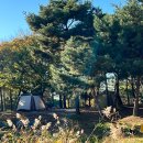 소풍정원 캠핑장 (화장실)1 이미지