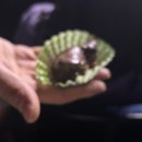 다원해 | 2026 다원 전역 팬미팅 <다원해> 낮공 후기