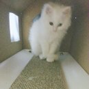 황동물병원 이미지