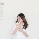 덕수네 애견 이미지