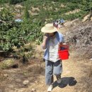 대련농장 이미지