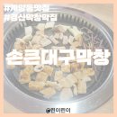 손큰대구막창 | 경산막창맛집, '손큰대구막창' 경산 계양동 맛집 추천!