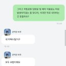 브리즈번 모튼섬 | 줌줌투어 사막사파리 돌고래 먹이주기 내돈내산 리얼후기- Morenton island tour