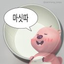 링고카레 이미지
