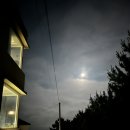 스테이코스트1 이미지