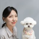 몽니드 이미지
