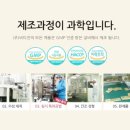 더루트 이미지