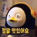 델솔 이미지