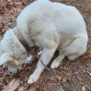 가가폐차장 이미지