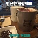 안산천 | 안산천 따라 걷다 만난 힐링 스팟, 무해한커피바에서 머물고 싶은 순간