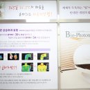 에스라인포톤테라피