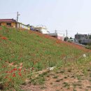 금창동 행정복지센터 이미지