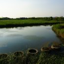 비봉인공습지 이미지