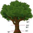 말구벌 이미지