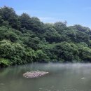 컴포즈커피서귀포올레시장점 네이버블로그