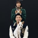 펫밀리# 이미지