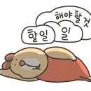팜팜푸드 이미지