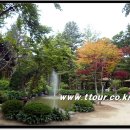 (주)테마여행사 이미지