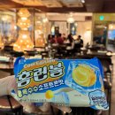 회장님댁 | 노원 데이트 술집 추천, 분위기와 안주 모두 만족한 회장님댁 노원점 후기