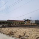 보개초등학교 이미지