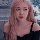 더헤어숲