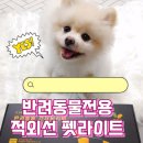 토들펫