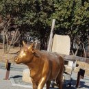 본리어린이공원 소  이미지