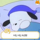 내몸밸런스