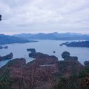 게으른 악어 이미지