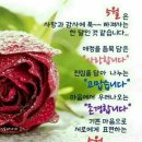 오월 이미지