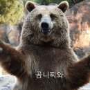 쌈마니 이미지
