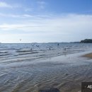 산림욕장 이미지