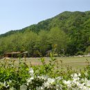 반디랜드 곤충박물관 전시실 이미지