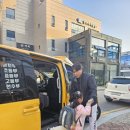 평택 글로벌 태권도장 이미지