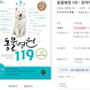 PET119동물병원 이미지