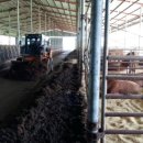 정수축산 이미지