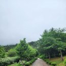 정기산행 98차 홍천 수타사 산소길 이미지
