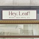 헤이리프