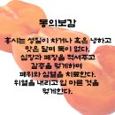 감 효능과 부작용 이야기 이미지