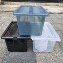 렙타일케이지 이미지