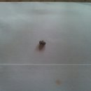 독천의원 이미지