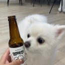 펜션 놀스페이스 이미지