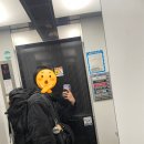 3일차_&lt;유니버설 랭귀지&gt; / &lt;어느 파리 택배기사의 48시간&gt; / &lt;액터스 하우스 박보영&gt; / &lt;플로우&gt; 후기