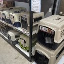 송산그린 펫 이미지